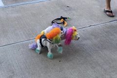 374890071_7041672192512378_4489776863586266936_n